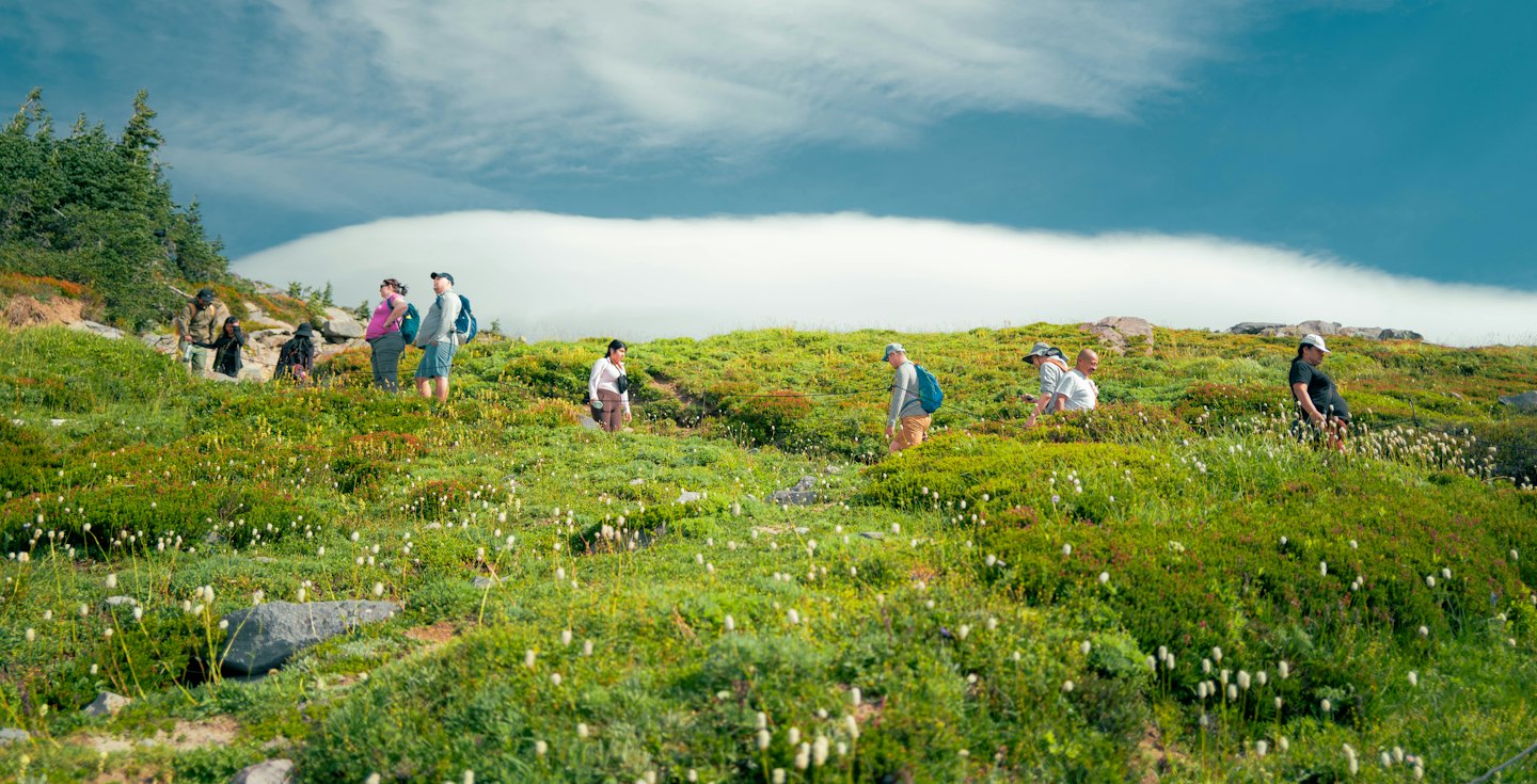 Un grupo de excursionistas sube una montaña florida.