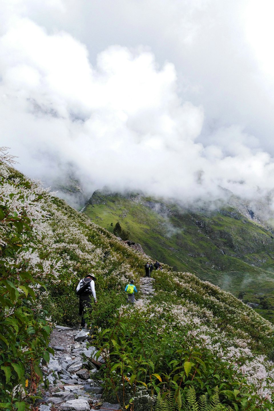 Senderistas con mochilas suben por un sendero rocoso de montaña.